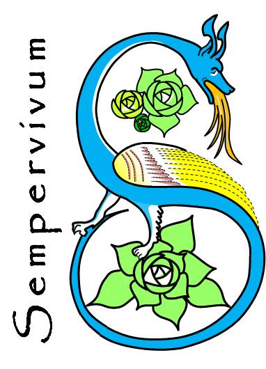 Sempervivum, producteur de plantes medicinales bio en correze-cantal